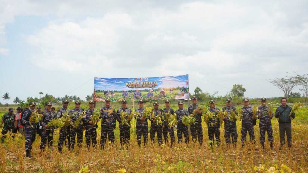 Komandan Kodaeral XI Panen Raya Kedelai, Tegaskan Komitmen TNI AL Dukung Ketahanan Pangan di Papua Selatan